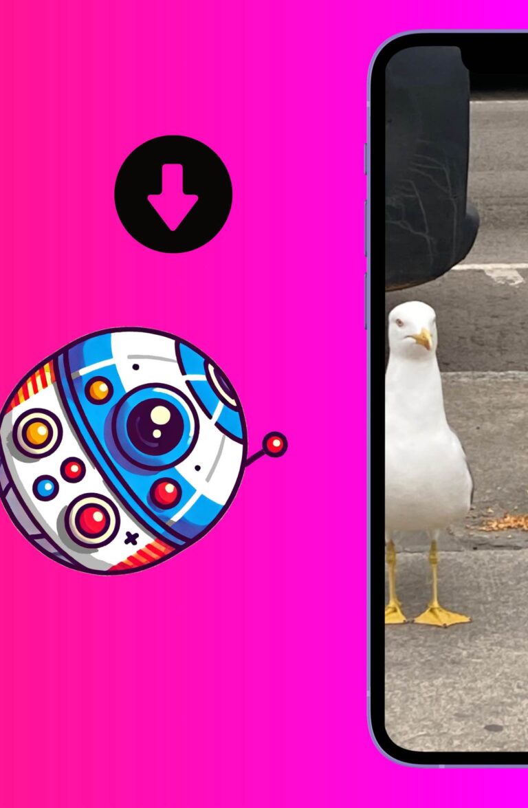 ¡Descarga ahora DokiPic!
 
¡Comienza tu aventura fotográfica!